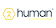 Human Consulting Strategies