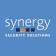 Synergy Security Solutions