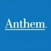 Anthem Consulting