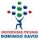 Universidad Privada Domingo Savio - UPDS