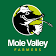 Sales Manager
