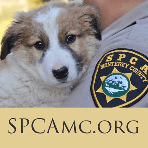 SPCA Pet Insurance