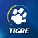 Grupo Tigre