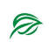The Citizens Foundation (TCF)