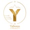 Yabous Finance