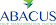 abacus-consulting-3