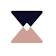LEGAL PROJECT MANAGEMENT PARTNERS LLC