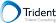 Trident Consulting Inc