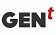 Valores y Servicios Regionales SA de CV (GEN´t)