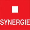 Synergie Italia S.p.a.