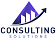 The Consulting Solutions
