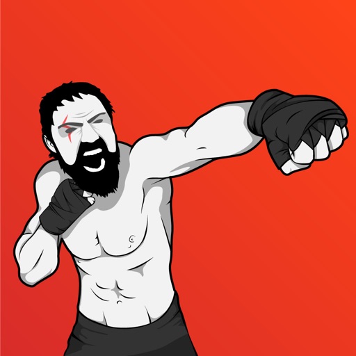 Spartan MMA Workout Training