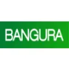 Bangura Solutions