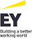 Ernst & Young (EY)