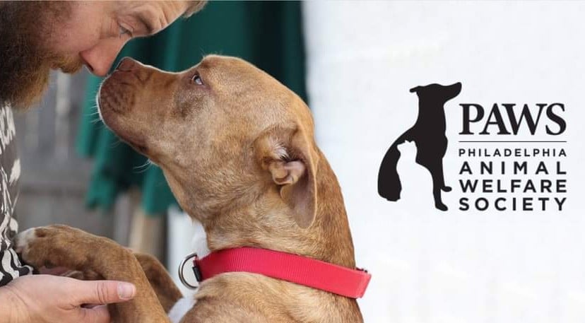 Philadelphia Animal Welfare Society (PAWS)