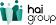 Haigroup