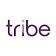 Tribe Payments
